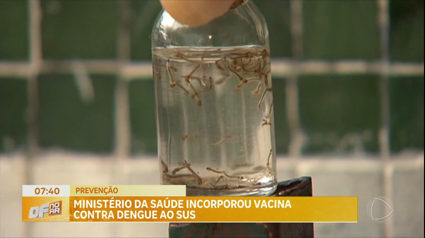 Vídeo: Ministério da Saúde incorpora vacina da dengue no SUS