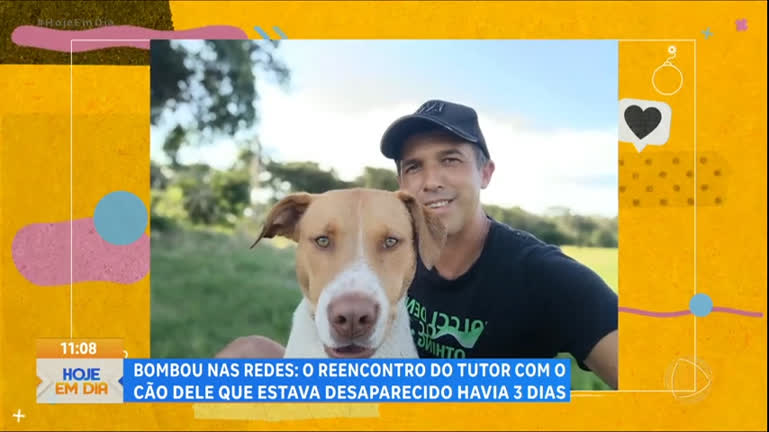 Vídeo: Bombou nas Redes: Reencontro entre tutor e cão desaparecido emociona a web