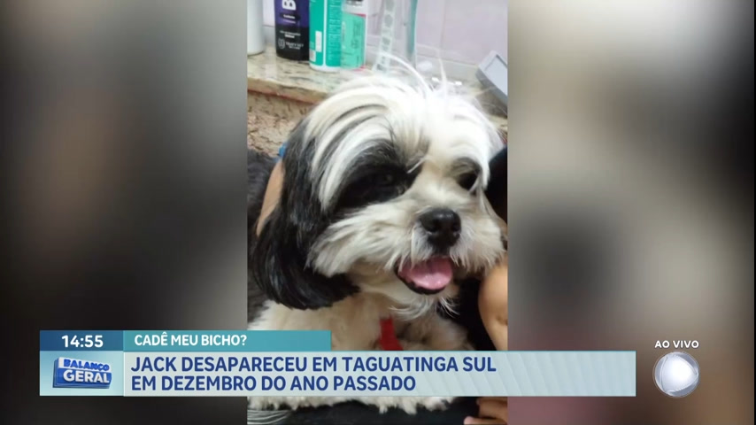 Vídeo: Família pede ajuda para encontrar cachorro desaparecido em Taguatinga Sul