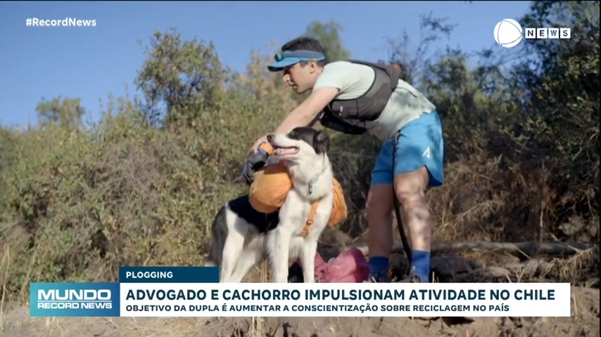 Vídeo: Advogado e cachorro praticam atividade que mistura ecologia e esporte no Chile