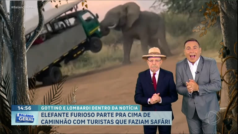 Vídeo: Dentro da Notícia: Elefante levanta caminhão com turistas em safári na África do Sul