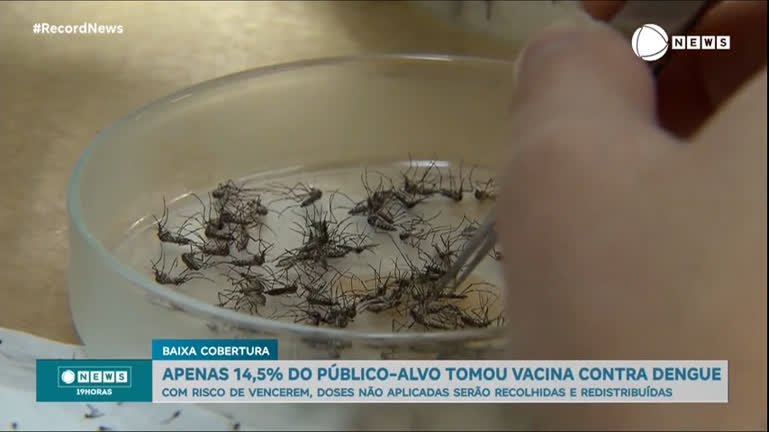 Vídeo: Apenas 14,5% do público-alvo tomou vacina contra a dengue