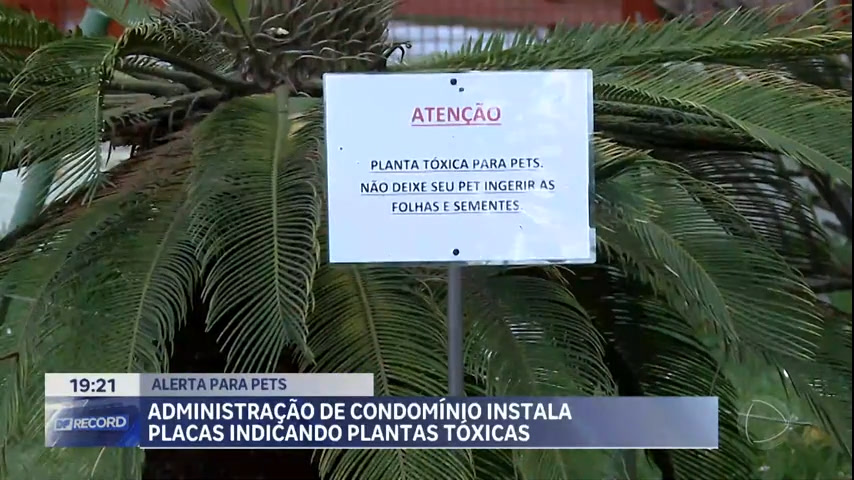 Vídeo: Administração de condomínio instala placas indicando plantas tóxicas