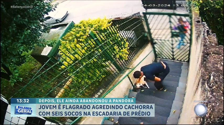 Vídeo: Vídeo: homem é flagrado agredindo cachorrinha dentro de prédio no ABC Paulista