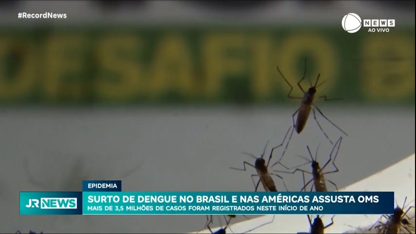 Vídeo: Epidemia de dengue pode ser a pior da história, diz OMS