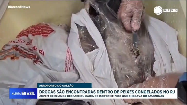 Vídeo: Jovem é preso em flagrante com maconha escondida dentro de peixes no aeroporto do Rio