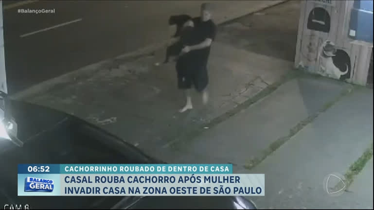 Vídeo: Casal invade casa em SP e rouba cachorro avaliado em R$ 5.000