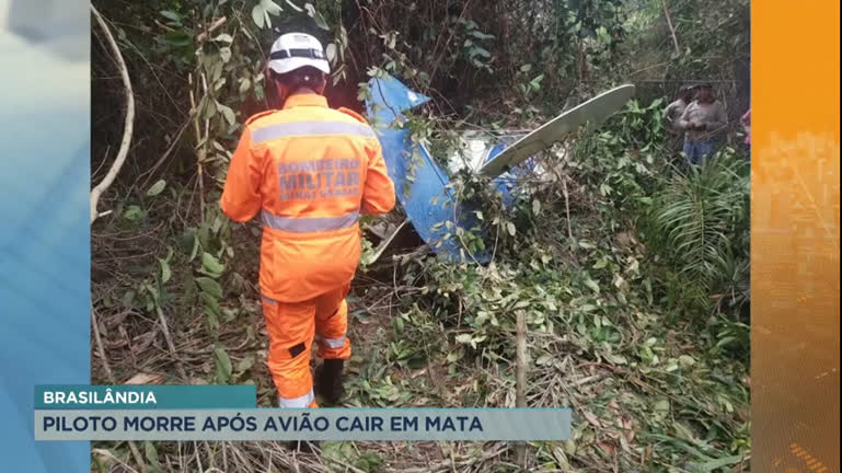 Vídeo: Piloto morre após queda de avião agrícola em MG