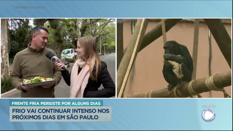 Vídeo: Animais do Zoológico de São Paulo ganham reforço para enfrentar o frio intenso