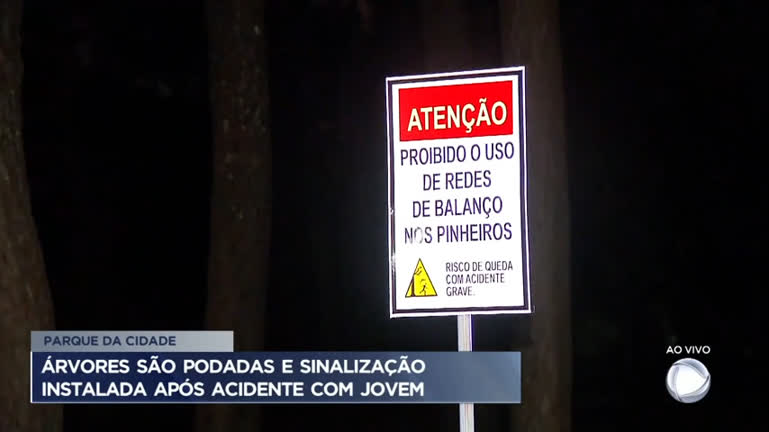 Vídeo: Árvores do Parque da Cidade são podadas e sinalizadas