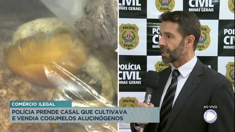 Vídeo: Casal é preso por cultivo e venda de cogumelos alucinógenos na Grande BH
