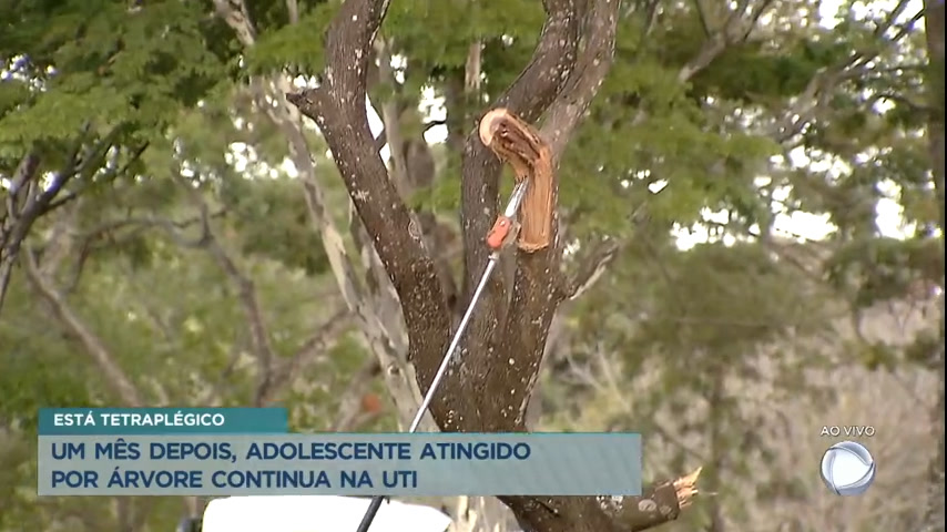 Vídeo: Adolescente atingido por árvore segue na UTI um mês após acidente