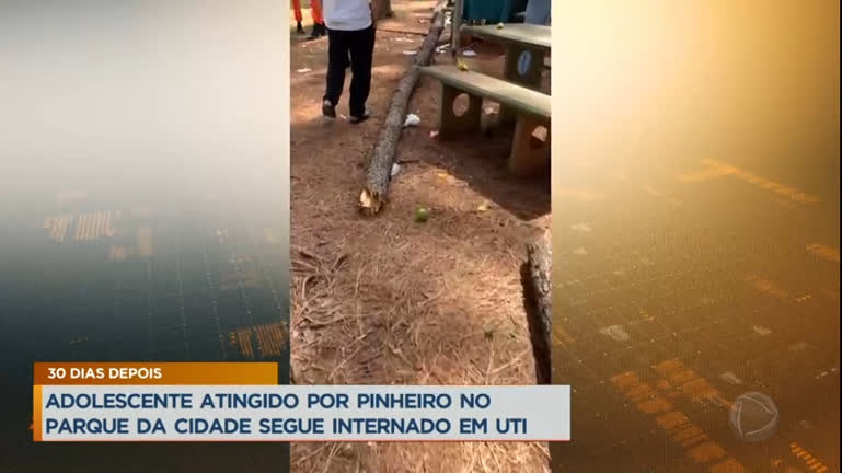 Vídeo: Adolescente atingido por pinheiro perde movimentos do corpo