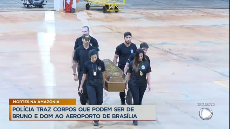 Vídeo: Corpos de jornalista e indigenista chegam a Brasília para perícia