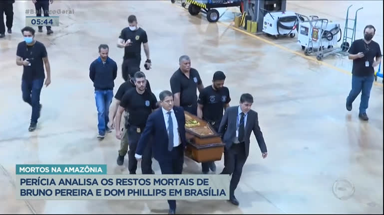 Vídeo: Bruno Pereira e Dom Phillips: perícia analisa restos mortais em Brasília
