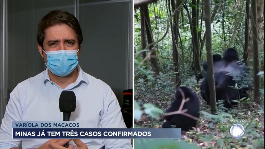 Vídeo: Secretário de Saúde de MG comenta casos de varíola dos macacos no estado