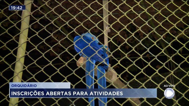 Vídeo: Orquidário de Santos abre inscrições para atividades
