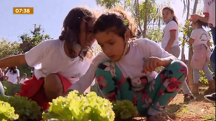 Vídeo: Professores e alunos de escola em Sobradinho (DF) criam horta comunitária