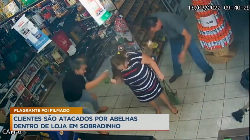 Vídeo: Clientes são atacados por abelhas dentro de loja em Sobradinho