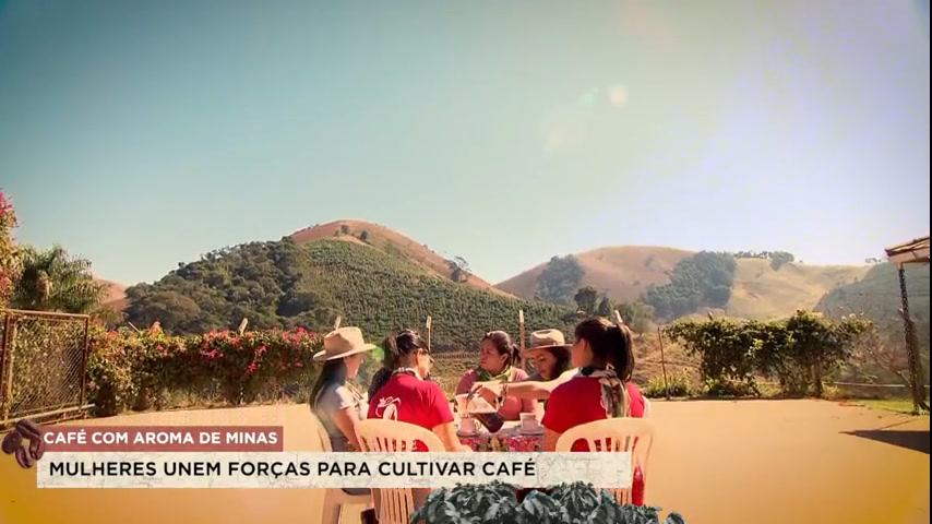 Vídeo: Mulheres unem forças e marcam presença na produção de café em MG