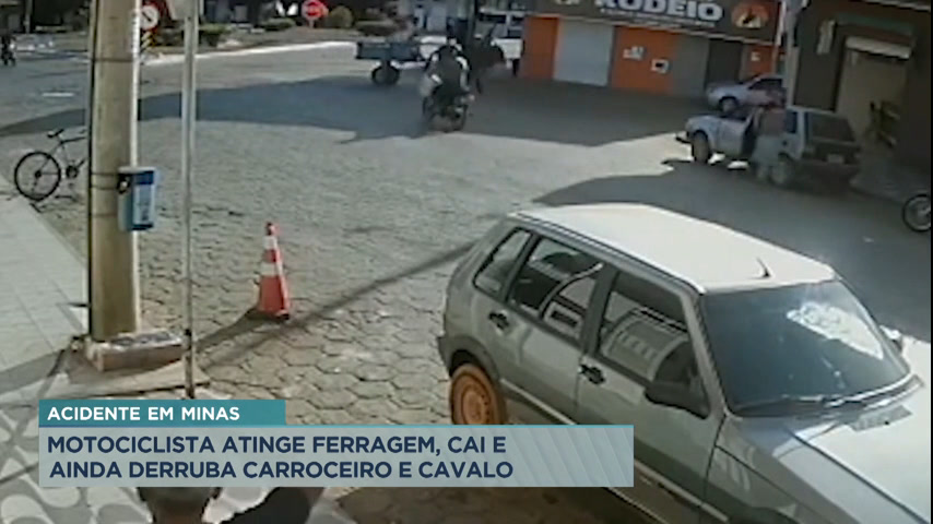 Cavalo é atropelado em rodovia na região nordeste de Belo Horizonte - Minas  Gerais - R7 Balanço Geral MG