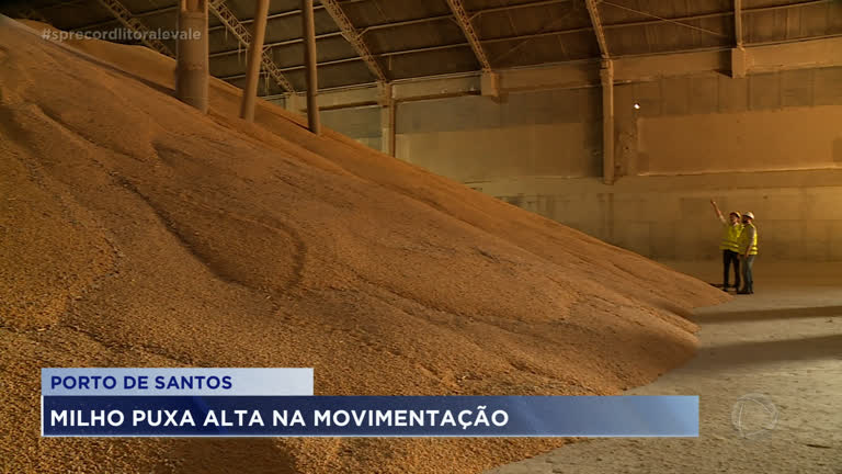 Vídeo: Agronegócio movimenta Porto de Santos