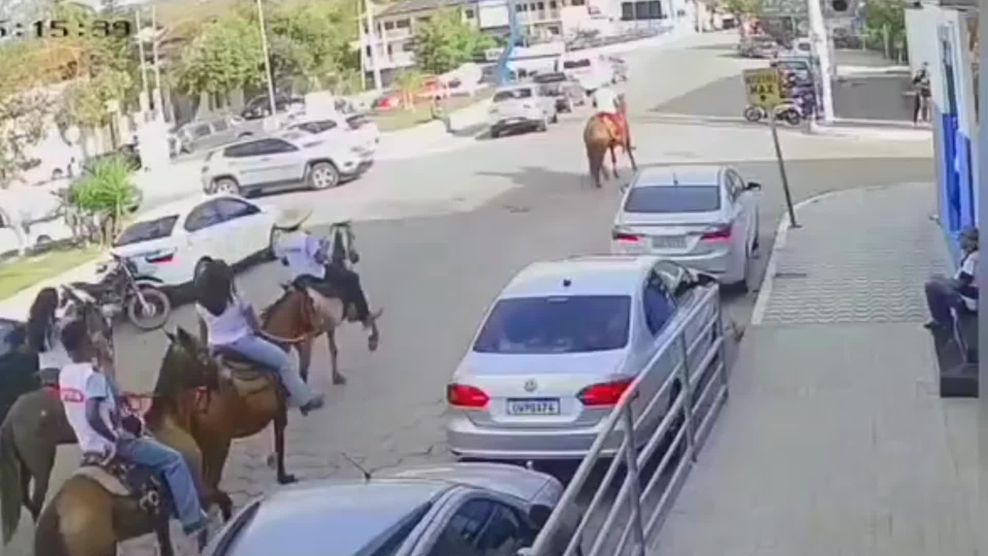 VÍDEO: homem é flagrado dando cerveja a cavalo no interior de MG, Centro-Oeste