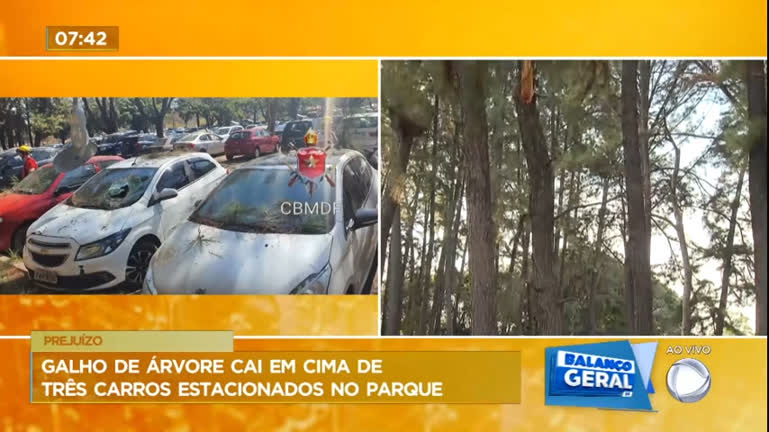 Vídeo: Galho de árvore cai em cima de três carros estacionados no parque