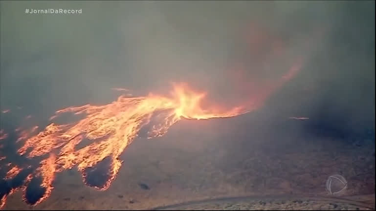 Vídeo: Onda de calor histórica provoca incêndios florestais que desafiam autoridades da Europa e EUA