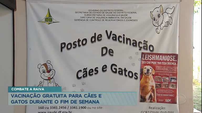 Vídeo: Vacinação gratuita contra raiva segue durante fim de semana