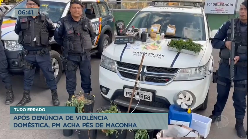 Vídeo: Polícia descobre cultivo de pés de maconha em casa no Gama (DF)