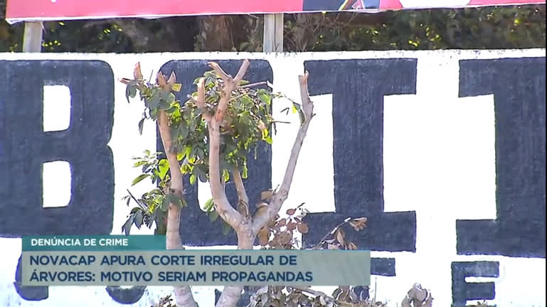 Vídeo: Novacap apura corte irregular de árvores em Águas Claras