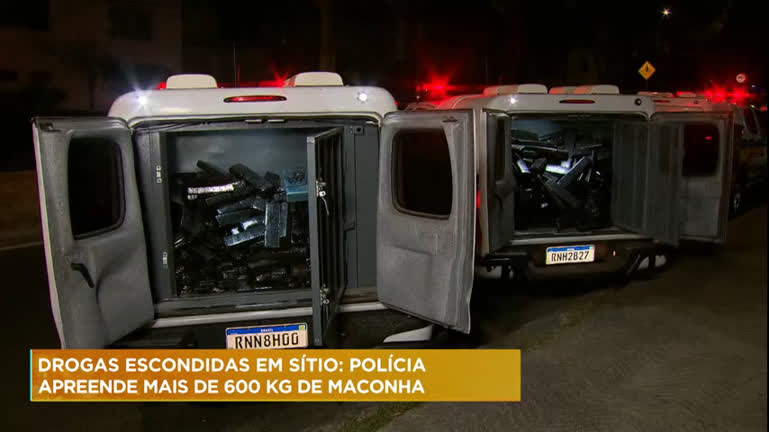 Vídeo: Polícia apreende mais de 600 kg de maconha em Belo Horizonte