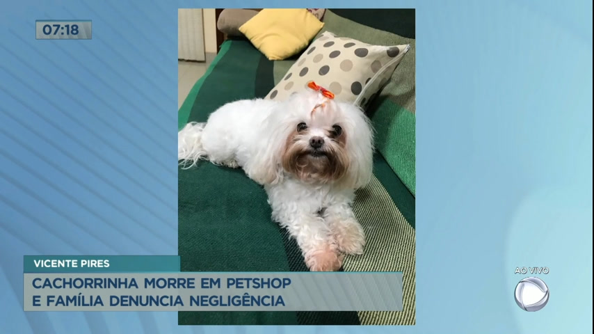 Vídeo: Cachorro morre em Pet Shop e família denuncia negligência