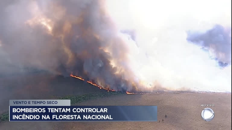 Vídeo: Bombeiros tentam controlar incêndio na Floresta Nacional