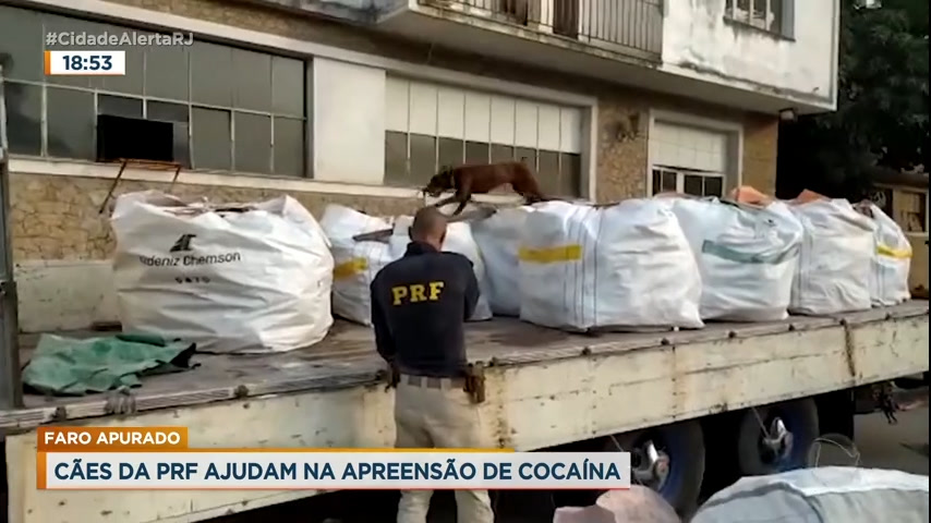 Vídeo: Cães farejadores ajudam a localizar cocaína em caminhão no RJ