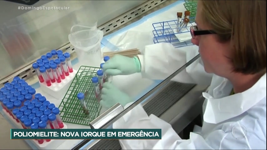 Nova York procura matador de ratos com salário de R$ 73,4 mil