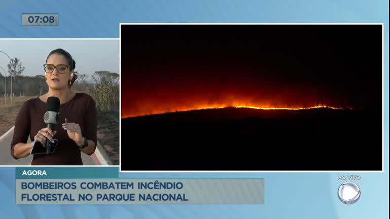 Vídeo: Cerrado tem focos de incêndio há mais de 10 dias seguidos