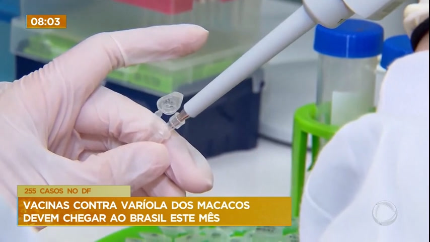 Vídeo: Vacinas contra varíola dos macacos devem chegar ao Brasil este mês