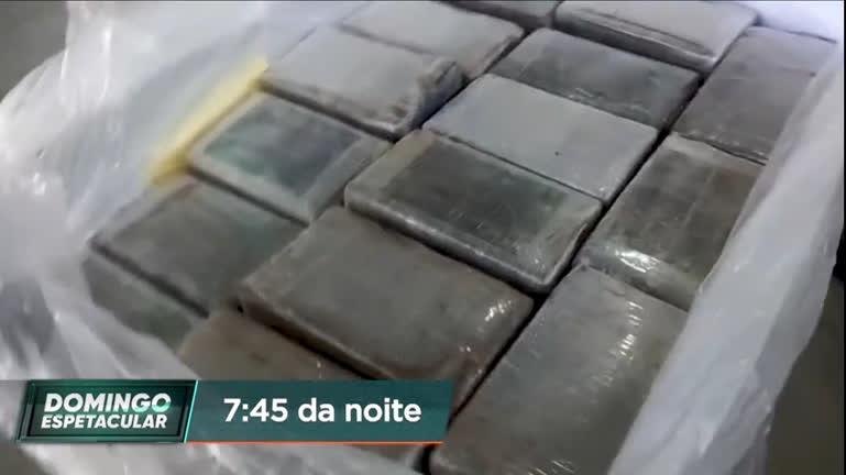 Vídeo: Domingo Espetacular revela esquema de tráfico internacional de drogas por meio de navios
