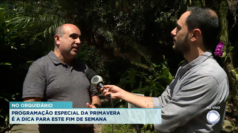 Vídeo: Fim de semana em Santos tem programação especial