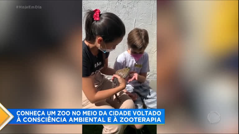 Vídeo: Zoo em SP associa educação ambiental e zooterapia para autistas