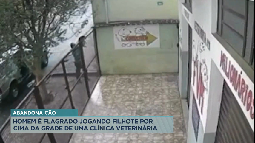 Vídeo: Homem é flagrado jogando filhote por cima da grade de uma clínica veterinária