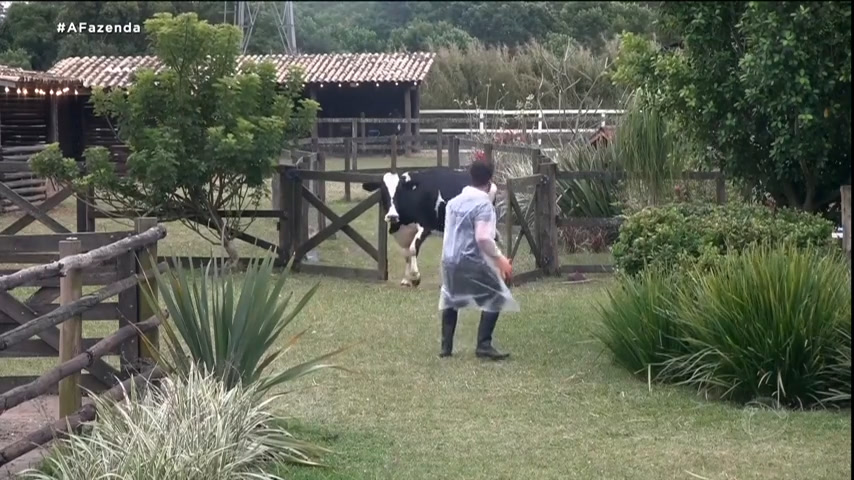 Vídeo: Peões cuidam dos animais na manhã de domingo | A Fazenda 14