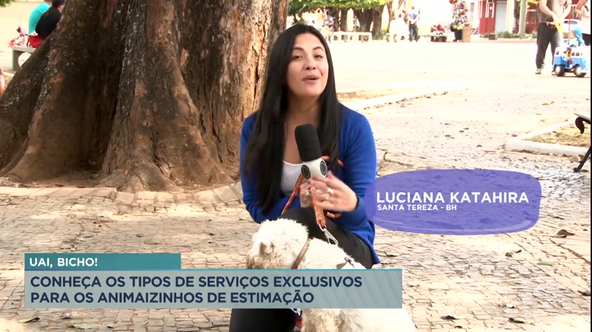 Vídeo: Uai, Bicho!: conheça serviços exclusivos para animais de estimação