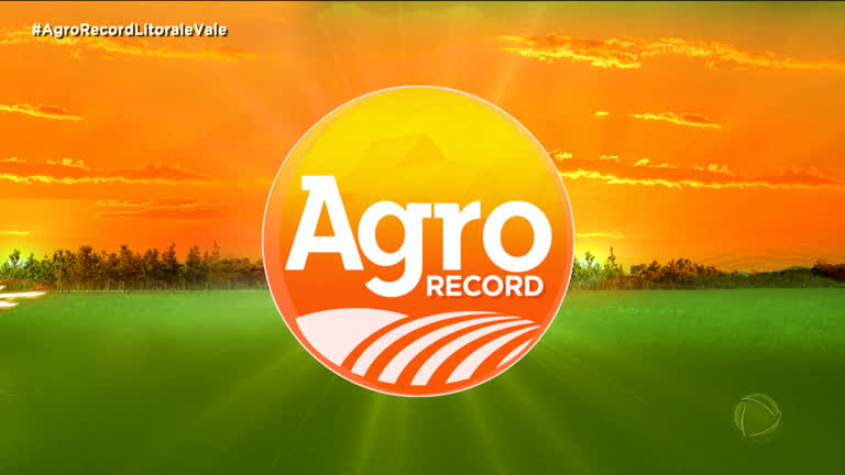 Vídeo: AGRO RECORD: Veja as últimas notícias do Agronegócio