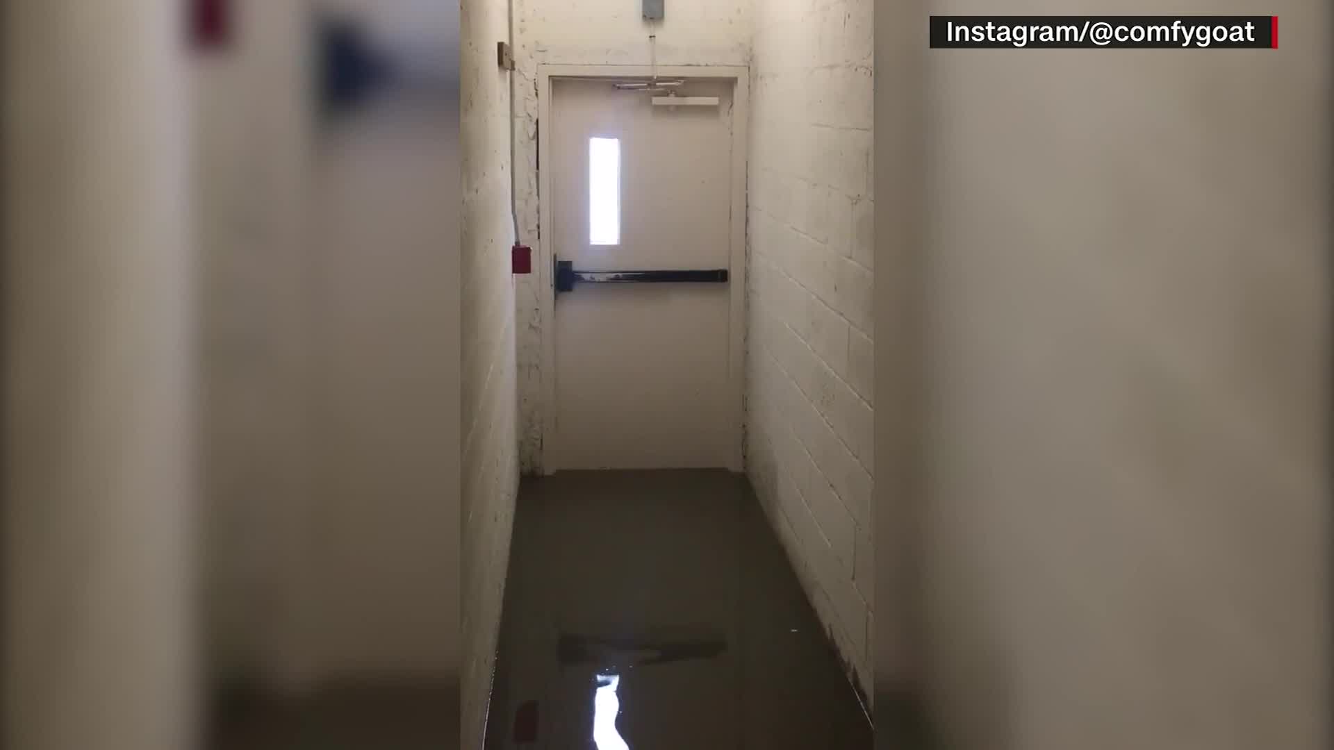 Vídeo: Água invade interior de edifício durante passagem do furacão Ian nos EUA