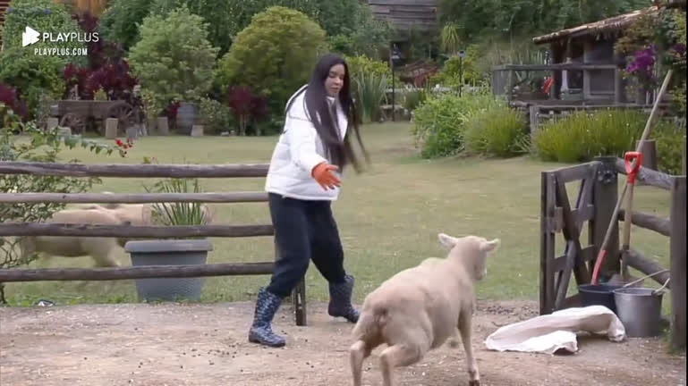 Vídeo: "Bora, filhas. Vamos bem princesas", diz Kerline para ovelhas | A Fazenda 14