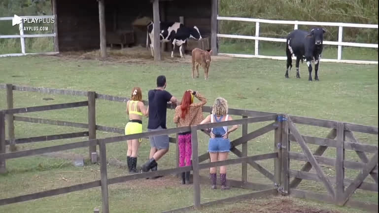 Vídeo: Peões se divertem ao interagir com os animais | A Fazenda 14