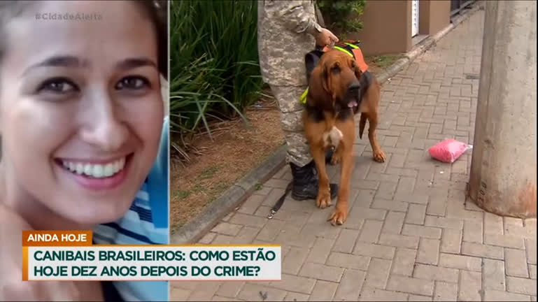 Vídeo: Polícia usa cães farejadores para buscar empresária desaparecida em São Paulo